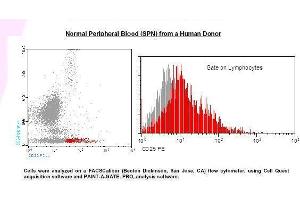 Image no. 1 for anti-Interleukin 2 Receptor, alpha (IL2RA) antibody (PE) (ABIN1112100) (CD25 抗体  (PE))