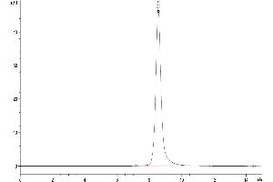 Size-exclusion chromatography-High Pressure Liquid Chromatography (SEC-HPLC) image for Interleukin 5 Receptor, alpha (IL5RA) (AA 21-335) protein (His-Avi Tag) (ABIN7275034)