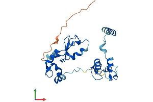 Protein Structure (PS) image for Ring Finger Protein 166 (RNF166) (AA 1-237) protein (His tag) (ABIN7551459)