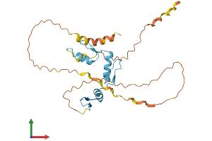 Protein Structure (PS) image for Kruppel-Like Factor 16 (KLF16) (AA 1-252) protein (His tag) (ABIN7548823)