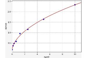 Typical standard curve (ADAMTS5 ELISA 试剂盒)
