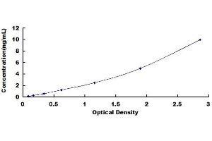 Typical standard curve (HAND2 ELISA 试剂盒)