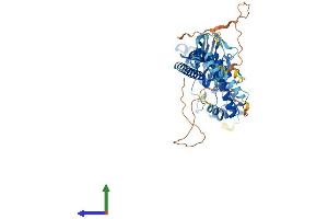 Protein Structure (PS) image for Amiloride-Sensitive Cation Channel 4, Pituitary (ACCN4) (AA 1-539) protein (His tag) (ABIN7558238)