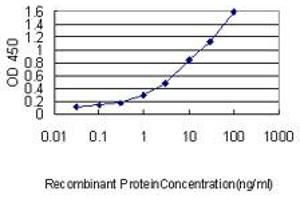 Detection limit for recombinant GST tagged MAD2L1 is approximately 0. (MAD2L1 抗体  (AA 1-205))
