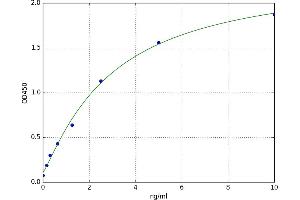 A typical standard curve (GBA3 ELISA 试剂盒)