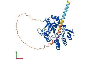 Protein Structure (PS) image for ST8 alpha-N-Acetyl-Neuraminide alpha-2,8-Sialyltransferase 2 (ST8SIA2) (AA 1-375) protein (His tag) (ABIN7546002)
