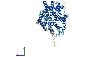 Protein Structure (PS) image for ALG3, alpha-1,3- mannosyltransferase (ALG3) (AA 1-438) protein (His tag) (ABIN7559498)