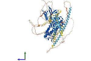 Protein Structure (PS) image for rho/rac Guanine Nucleotide Exchange Factor (GEF) 2 (ARHGEF2) (AA 1-986) protein (His tag) (ABIN7552269)