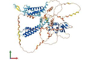 Protein Structure (PS) image for Potassium Voltage-Gated Channel, Shaw-Related Subfamily, Member 3 (KCNC3) (AA 1-757) protein (His tag) (ABIN7554246)