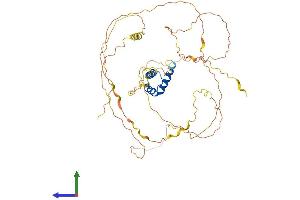 Protein Structure (PS) image for Iroquois Homeobox Protein 5 (IRX5) (AA 1-483) protein (His tag) (ABIN7554170)