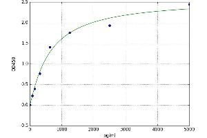 Lipase, Gastric (LIPF) ELISA Kit