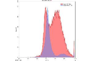 Detection of IL6 in Chos line transfected with target gene using Polyclonal Antibody to Interleukin 6 (IL6)