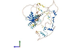 Protein Structure (PS) image for RAD21-Like 1 (RAD21L1) (AA 1-552) protein (His tag) (ABIN7561957)