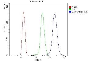 Flow Cytometry analysis of HL-60 cells using anti-NDUFB10 antibody (ABIN7601461).