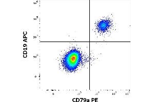 Flow cytometry multicolor surface staining of human lymphocytes using anti-human CD19 (LT19) APC antibody (10 μL reagent / 100 μL of peripheral whole blood) and intracellular staining of human lymphocytes using anti-human CD79a (HM47) PE antibody (10 μL reagent / 100 μL of peripheral whole blood). (CD79a 抗体  (AA 208-222) (PE))