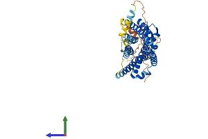 Protein Structure (PS) image for Chemokine-Like Receptor 1 (CMKLR1) (AA 1-371) protein (His tag) (ABIN7556815)