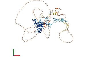 Protein Structure (PS) image for CCR4-NOT Transcription Complex, Subunit 2 (CNOT2) (AA 1-540) protein (His tag) (ABIN7553513)