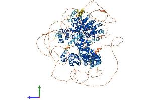 Protein Structure (PS) image for Cytoplasmic Linker Associated Protein 1 (CLASP1) (AA 1-1535) protein (His tag) (ABIN7564242)