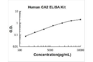Carbonic Anhydrase II (CA2) ELISA Kit