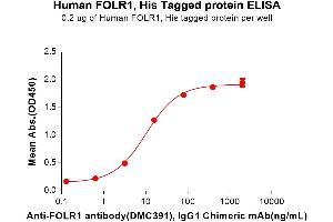 ELISA image for Folate Receptor 1 (Adult) (FOLR1) (AA 25-234) protein (His tag) (ABIN7092684)