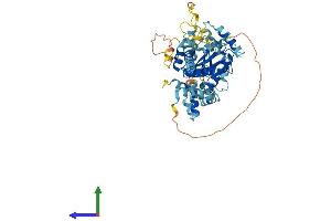 Protein Structure (PS) image for Tigger Transposable Element Derived 4 (TIGD4) (AA 1-513) protein (His tag) (ABIN7558912)