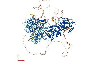 Protein Structure (PS) image for Son of Sevenless Homolog 2 (SOS2) (AA 1-1333) protein (His tag) (ABIN7563582)