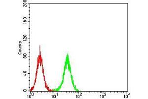 Flow cytometric analysis of K562 cells using TCF4 mouse mAb (green) and negative control (red). (TCF4 抗体  (AA 518-667))