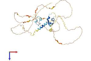 AlphaFold protein structure predicition of Human Recombinant ZNF704 Protein, UniprotID Q6ZNC4