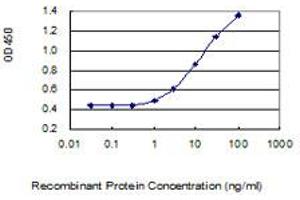 Detection limit for recombinant GST tagged LACTB2 is 0. (LACTB2 抗体  (AA 1-288))