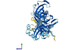 Protein Structure (PS) image for Eukaryotic Translation Elongation Factor 1 alpha 1 (EEF1A1) (AA 1-462) protein (His tag) (ABIN7562822)