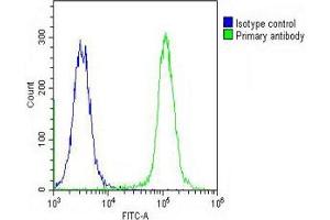 Overlay histogram showing K562 cells stained with (ABIN390856 and ABIN2841078) (green line). (RASIP1 抗体  (AA 651-678))