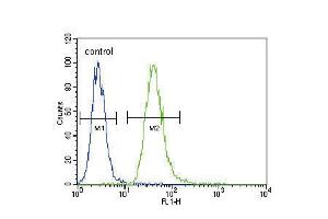 Flow cytometric analysis of A549 cells (right histogram) compared to a negative control cell (left histogram). (TNFRSF1A 抗体  (AA 252-281))