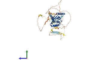 Protein Structure (PS) image for OTU Domain Containing 5 (OTUD5) (AA 1-566) protein (His tag) (ABIN7557138)