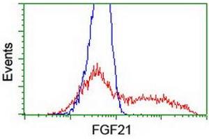 HEK293T cells transfected with either RC204538 overexpress plasmid (Red) or empty vector control plasmid (Blue) were immunostained by anti-FGF21 antibody (ABIN2454615), and then analyzed by flow cytometry. (FGF21 抗体  (AA 29-209))
