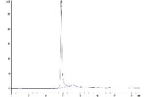 Size-exclusion chromatography-High Pressure Liquid Chromatography (SEC-HPLC) image for CD209 (CD209) (AA 59-404) protein (His tag) (ABIN7275586)