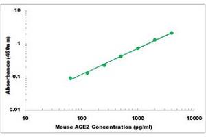 Representative Standard Curve (ACE2 ELISA 试剂盒)