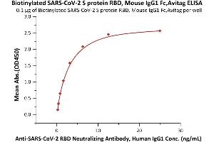 Immobilized Biotinylated SARS-CoV-2 S protein RBD, Mouse IgG1 Fc,Avitag™(MALS verified) (ABIN6973233) at 1 μg/mL (100 μL/well) on streptavidin precoated (0.