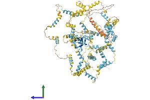 Protein Structure (PS) image for Nebulette (NEBL) (AA 1-1014) protein (His tag) (ABIN7554680)