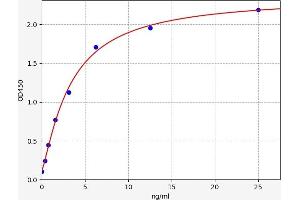 POMC ELISA 试剂盒