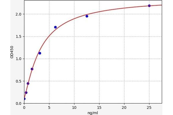 POMC ELISA 试剂盒