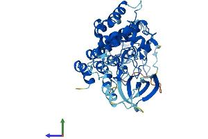 AlphaFold protein structure predicition of Human Recombinant ILK Protein, UniprotID Q13418