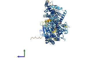 AlphaFold protein structure predicition of Mouse Recombinant Pign Protein, UniprotID Q9R1S3