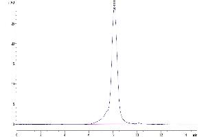 Size-exclusion chromatography-High Pressure Liquid Chromatography (SEC-HPLC) image for Interleukin 13 Receptor, alpha 1 (IL13RA1) (AA 27-343) protein (His tag) (ABIN7275017)