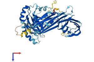 MUDEN Protein (AA 1-490) (His tag)
