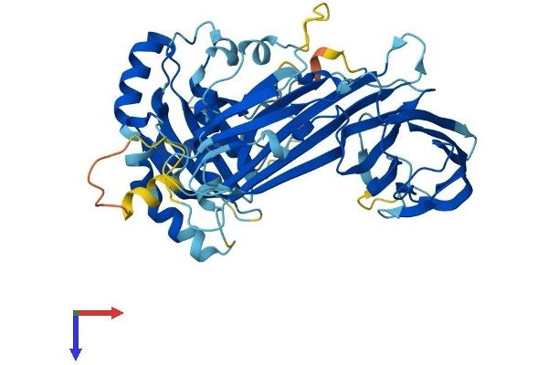 MUDEN Protein (AA 1-490) (His tag)