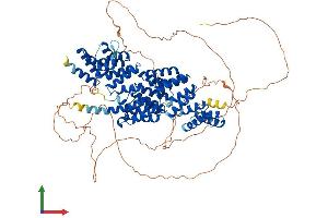 Protein Structure (PS) image for Cell Division Cycle 27 Homolog (S. Cerevisiae) (CDC27) (AA 1-824) protein (His tag) (ABIN7553223)