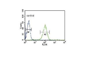 NOS3 Antibody (N-term) (ABIN652267 and ABIN2841142) flow cytometric analysis of HL-60 cells (right histogram) compared to a negative control cell (left histogram). (ENOS 抗体  (N-Term))