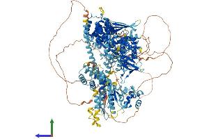 Protein Structure (PS) image for Mitogen-Activated Protein Kinase Kinase Kinase 5 (MAP3K5) (AA 1-1380) protein (His tag) (ABIN7562266)