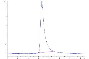 Size-exclusion chromatography-High Pressure Liquid Chromatography (SEC-HPLC) image for Interleukin 22 (IL22) (AA 34-179) protein (His tag) (ABIN7274913)