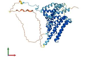 Protein Structure (PS) image for Diacylglycerol O-Acyltransferase 1 (DGAT1) (AA 1-498) protein (His tag) (ABIN7556415)